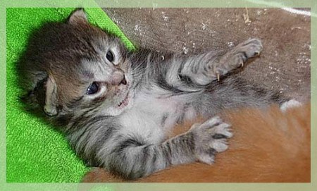 ��������� ������ �� ��������� ������