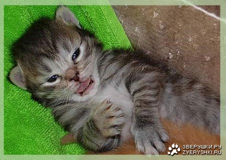 ��������� ������ �� ��������� ������