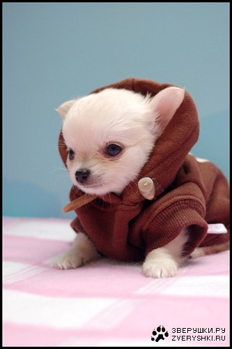 ��������� ������ ;)