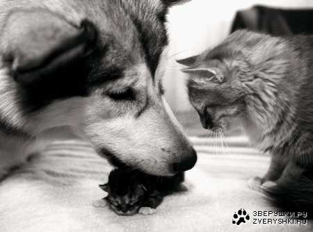 �������� ������ :)