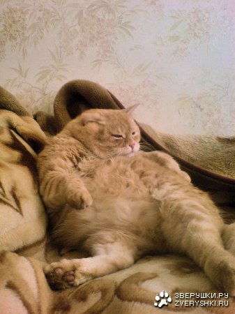 ��� ����� :)