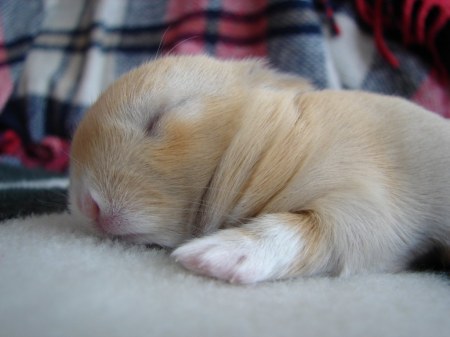 ������-������! (4 ����������)