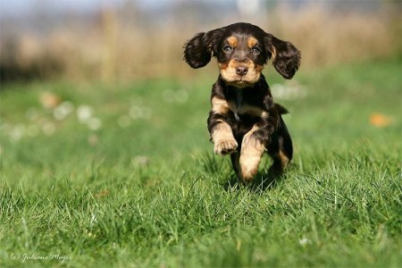 ��������� ������� :)