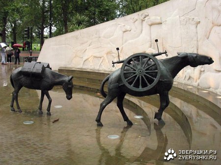 "...� ��� �� ���� ������..."