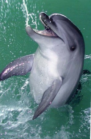 ��������� ������� :)