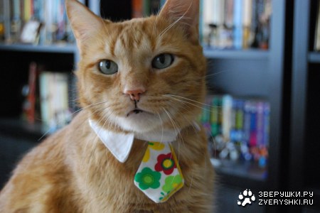 ���������� ��� ������� ������! :)