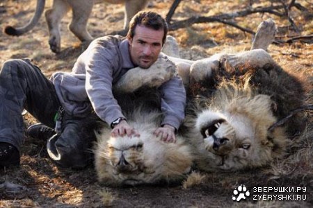 ����������� ����� ���������