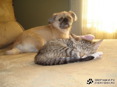 ������ :)