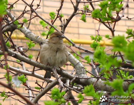 ��������� � �������� ���� :)