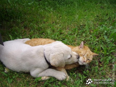 ��������� ��������� :)