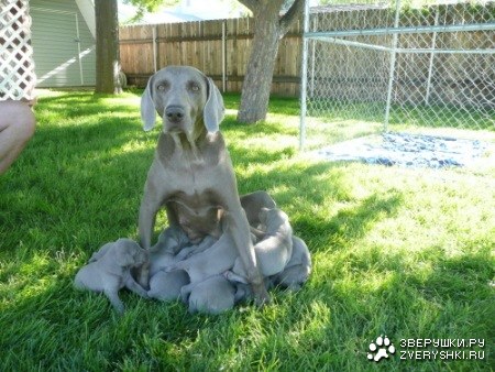 ����-�������! ;)