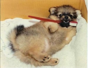 �������� � ������ :)