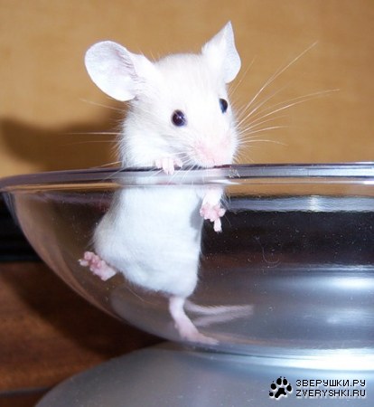 ���������� ;)