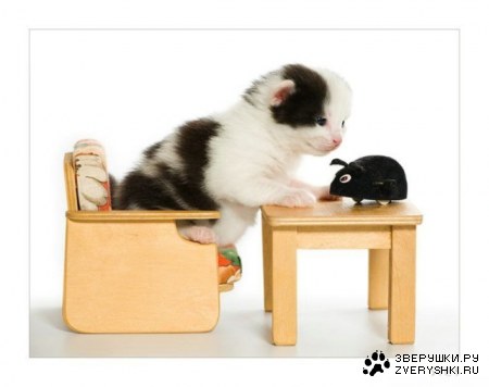 ������� ����� :)