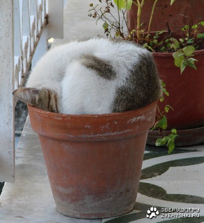 �������� � ��������!