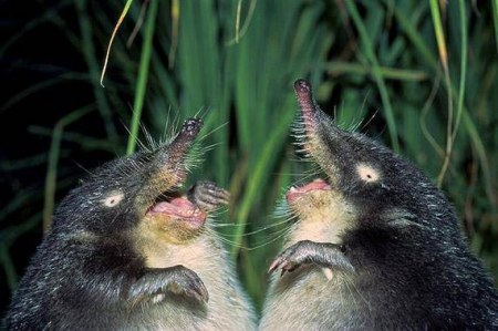 �������� ��� ����������! :)