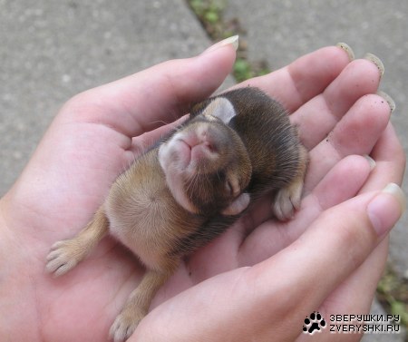 ��������� ������� ;)