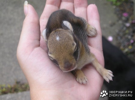 ��������� ������� ;)