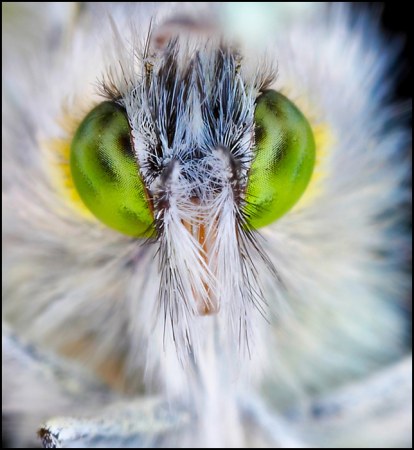 ���������� ��������� �� Peter Garvanovi�