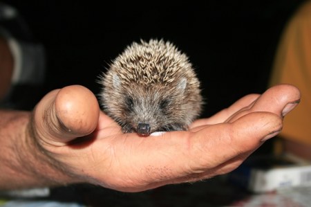 ������-���� ;)