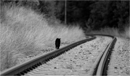 ������ ;)