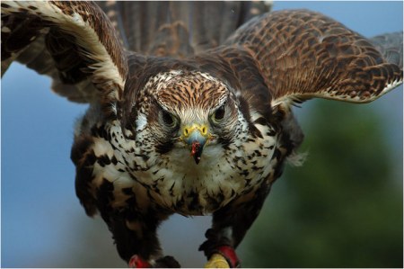 ������� ����� :)