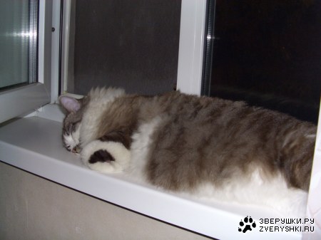 ���������� ����� ������� ���... :)