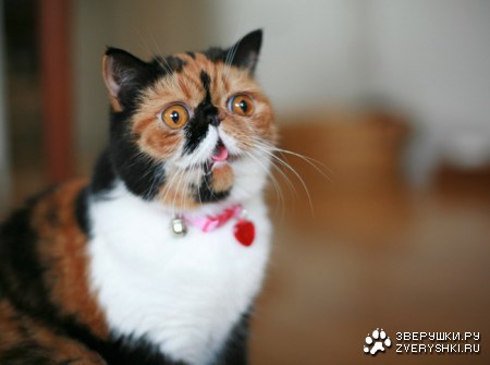 �� ����� ����� ����! :)