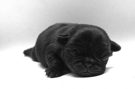 ������-������� :)