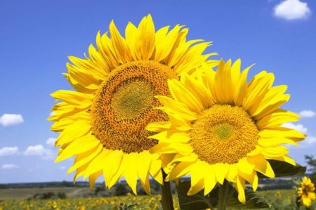 ��������� ��� ��������! :)