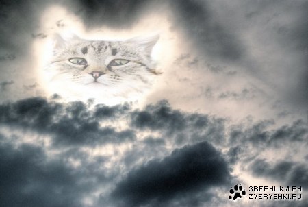 ������� ���������� :)