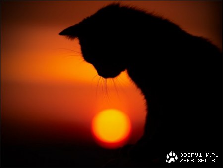 ��������� ���������� :)