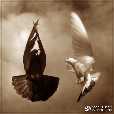 ����� ���� ;)