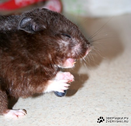 ������ ��� ��������! :)