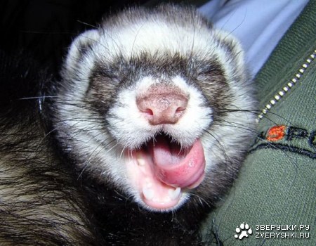 ��� ������! (6 ����)