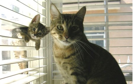 ������� ��� ���! ;)