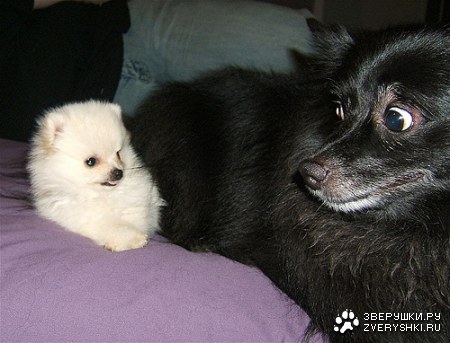 �� ��� �����?!