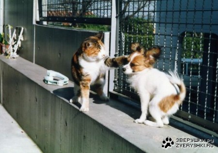 ������ �� ������ ���� �������! :)