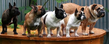 "��� ������ ���"