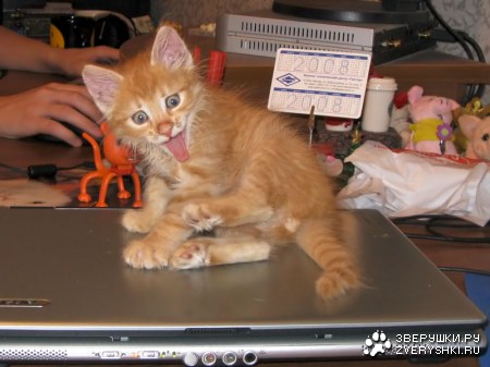 ����������� ��� ��� :)