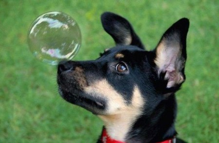 �� ������� ����... :)