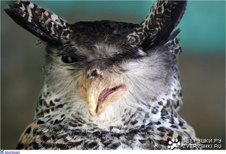 �������� ��� ��������! :)