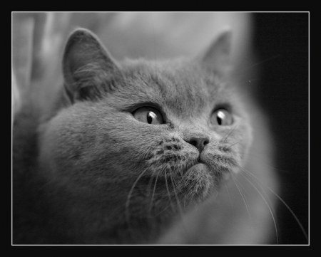 ������� �������� :)