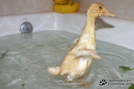 � � ����� �������� ;)