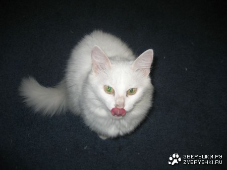 ���� ��� ��������� :)