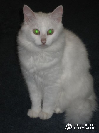 ���� ��� ��������� :)