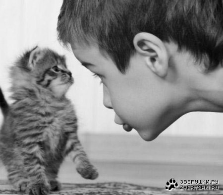 ��� ����? :)