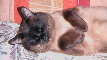 ���� ������� �������� :)