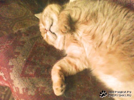 � ����� ����� ;)