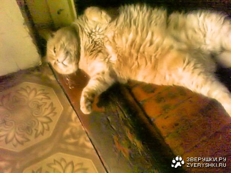 � ����� ����� ;)